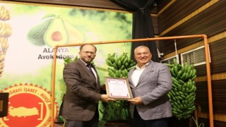 Coğrafi işaretli muzun logosunu Alanya halkı seçecek