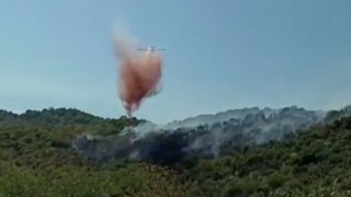 Demrede makilik yangını korkuttu