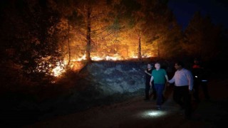 Denizli Büyükşehir yangını söndürmek için seferber oldu