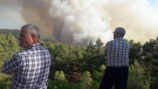 Denizlideki yangın söndürme çalışmalarına Aydından destek gönderildi