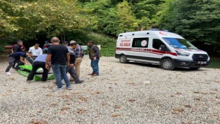 Denizliden Sinopa gezmeye giden ailenin üzerine ağaç devrildi: 2 ölü, 1 yaralı