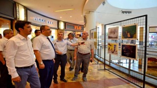 Dereceye giren fotoğraflar Denizlili sanatseverlerin ilgisine sunuldu