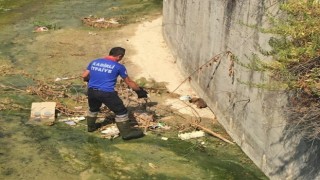 Derede mahsur kalan yavru köpeği itfaiye kurtardı