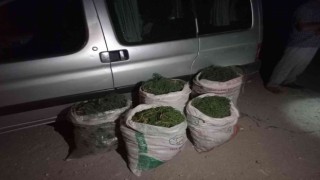 Didimde 100 kilogram deniz börülcesi ele geçirildi