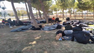 Didimde 45 düzensiz göçmen yakalandı