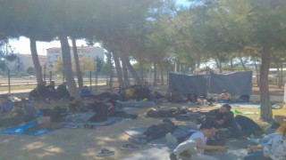 Didimde 92 düzensiz göçmen yakalandı