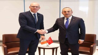 Dışişleri Bakanı Çavuşoğlu, İrlanda Dışişleri ve Savunma Bakanı Coveney ile görüştü