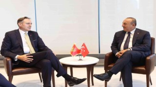 Dışişleri Bakanı Çavuşoğlu, Karadağlı mevkidaşı Krivokapic ile görüştü