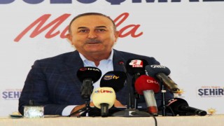 Dışişleri Bakanı Mevlüt Çavuşoğlu;