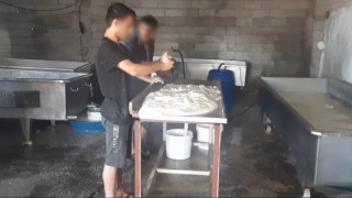 Diyarbakırda sağlıksız peynir üretimi yapılan imalathane mühürlendi