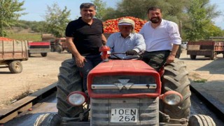 Domates üretiminde Sındırgı birinciliğe oynuyor