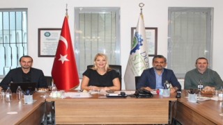 DOSABSİADın güneş enerjisi hamleleri sürüyor