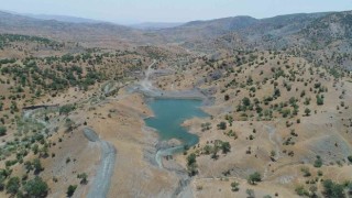 DSİden Siirt hayvancılığına katkı