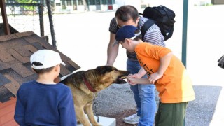 Dünya Hayvanları Koruma Günü Kadıköyde kutlanacak