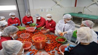 Efeler Belediyesinin fabrikasında ürünler çeşitleniyor