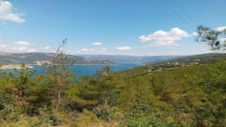 Eko turizmin gözdesi Samsun