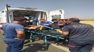 Elazığda kamyonet şarampole yuvarlandı: 3 yaralı