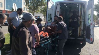 Elazığda yolun karşısına geçen kadına çarpan sürücü kaçtı