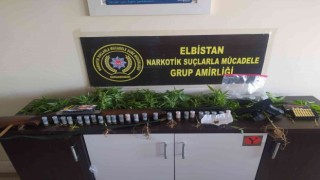 Elbistanda saksıda kenevir yetiştirilen eve operasyon