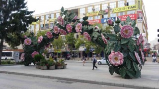 En mutlu il Isparta