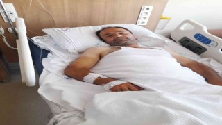 Erik toplamak için çıktığı ağaçtan düşen vatandaş hastanelik oldu
