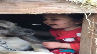 Erzurumda küçük çocuğun köpek sevgisi görenleri gülümsetti