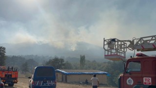 Eskişehirde çıkan orman yangınına müdahale devam ediyor