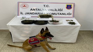 Eve yapılan baskında 1 kilogram kubar esrar ele geçirildi