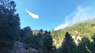 Fekede orman yangını kontrol altına alındı