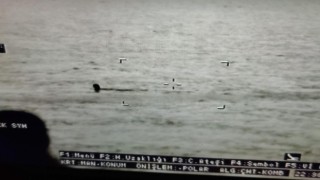 FETÖ şüphelileri yüzerek Yunanistana kaçmaya çalıştı