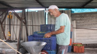 Fransada gördü, Manyasta uyguladı