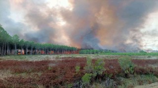 Fransada orman yangını evlere sıçradı