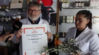 Geliştirilen yeni sistem ile daha kaliteli zeytinyağları üretilebilecek