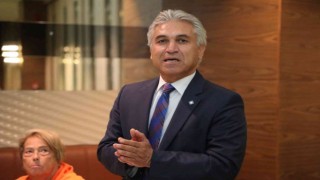 Gemlikte gündem ‘Zeytin