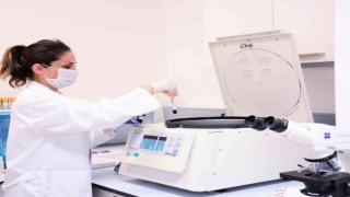 Genetiğin şifreleri 400 farklı testle çözülüyor