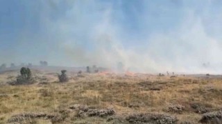 Giresunda örtü yangını, ormana sıçramadan kontrol altına alındı