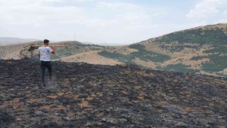 Gümüşhanede çobanın yaktığı ateş nedeniyle 20 hektarlık arazi küle döndü