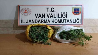 Gürpınarda 17 kilo 400 gram kubar esrar ele geçirildi