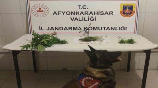 Hasadını yaptıkları esrarın tamamını satamadan yakalandılar