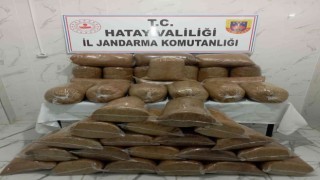 Hassada 245 kilo kaçak tütün ele geçirildi