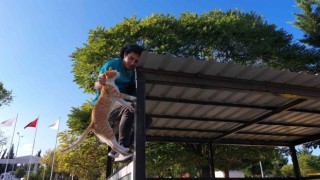Hastane bahçesindeki çatıda mahsur kalan kediyi personel kurtardı