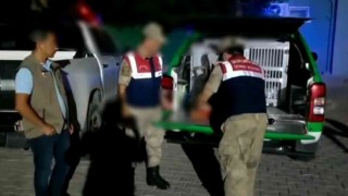 Hatayda böcek toplayan kişiye 109 bin lira para cezası