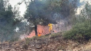 Hatayda ormanlık alanda çıkan yangın evlere sıçramadan söndürüldü