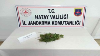 Hatayda uyuşturucu operasyonu