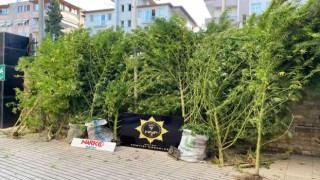 Hatayda uyuşturucu operasyonu