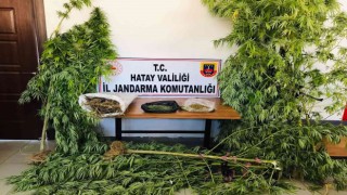 Hatayda uyuşturucu operasyonu