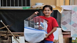Hayat arkadaşım dediği kuşu Antalyada kayboldu, Mersinde bulundu