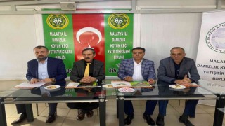Hayvan yetiştiricilerine ıslah projesi anlatıldı