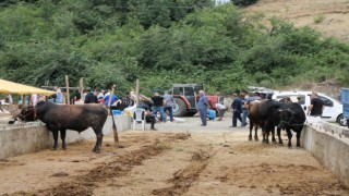 Hayvancılıkta Sözleşmeli Besicilik dönemi