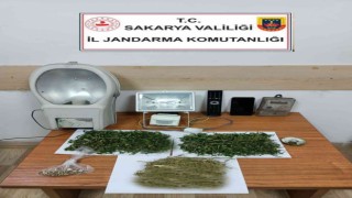Hırsızlık yapan şüpheli uyuşturucuyla yakalandı